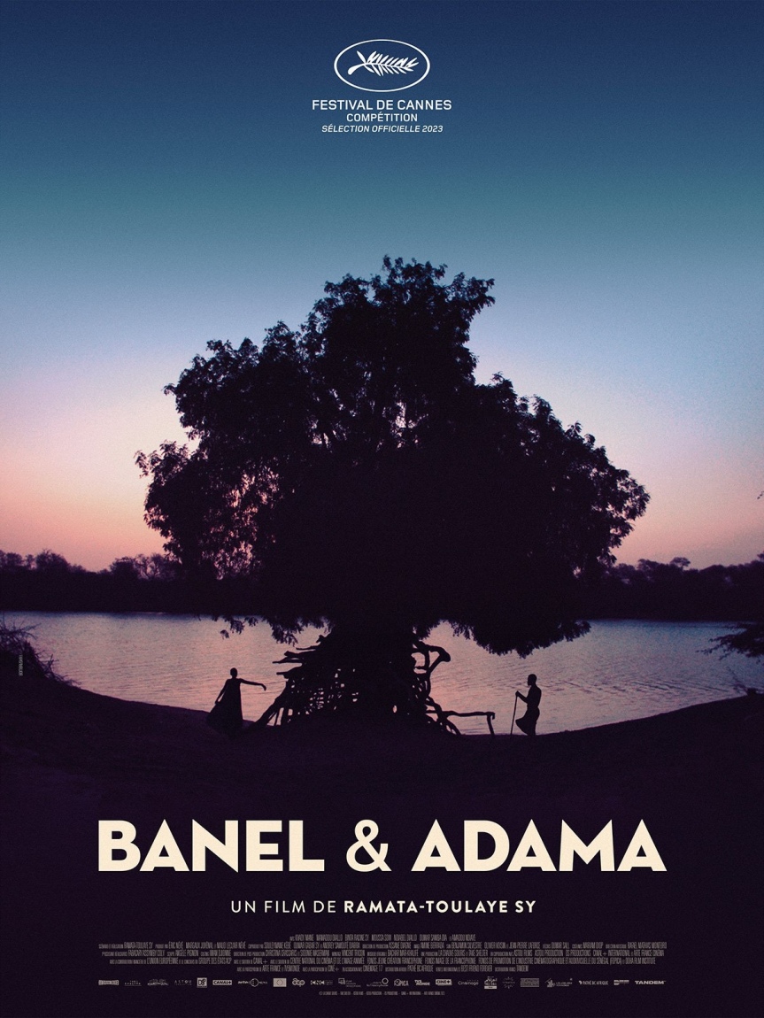Banel & Adama : Critique